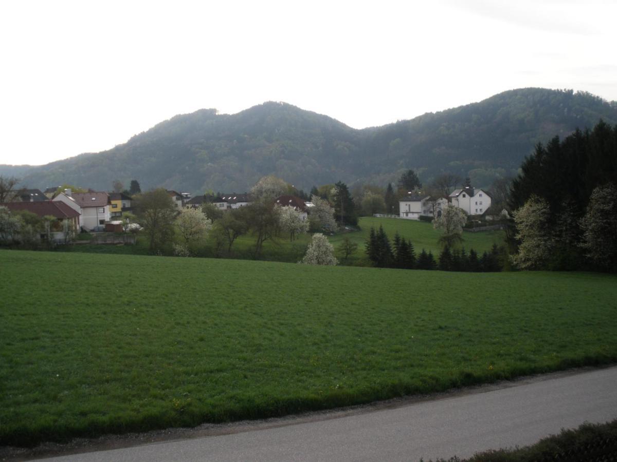 Haus Kloibhofer Hotel Grein Buitenkant foto